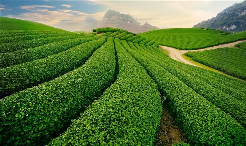 Đài PTTH Hà Nội